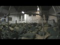 look&roll1 - Clic-n-roll Edit