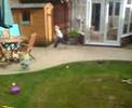 My son, the next Nick Faldo