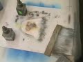 Airbrush Eagle - Airbrushing for Beginners Airbrush Eagle - Airbrushing for Beginners