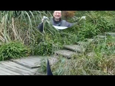 Wie bei Harry Potter - Tarnumhang sorgt für Aufsehen