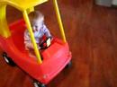 New York Driver Chartlotte New York Driver Chartlotte