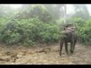 Parc national Royal Chitwan, N�pal