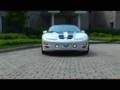 PART II (LONG)- My F-Body's (DV Widescreen 5:59)