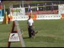 Pedro Luis Gutierrez Wusv 2008 (Obediencia) Pedro Luis Gutierrez Wusv 2008 (Obediencia)