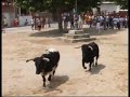 ENCIERRO ALBARES