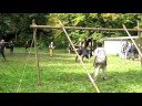 Raffball WM 2008