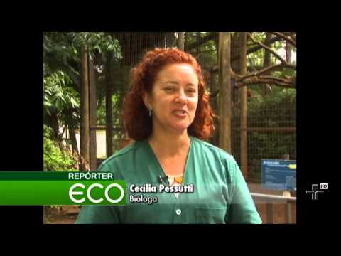 Repórter Eco 03/02/2013 - Bloco 2