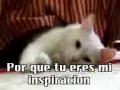 poemas para enamorados
