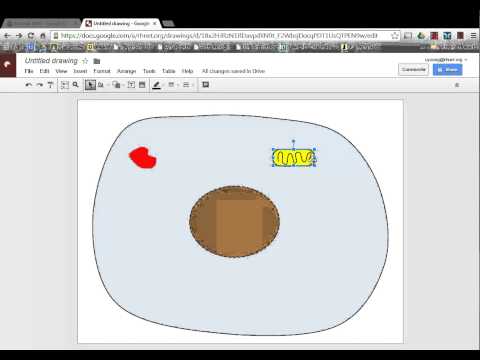 how to draw the google g