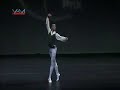 YAGP New York Finalists 2008 by VAM productions (Part 4) YAGP New York Finalists 2008 by VAM productions (Part 4)