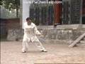 Chen-Taijiquan-Da-la