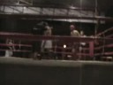My Fight at the Reggae Bar