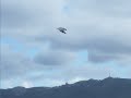 Strong Wind in Petone