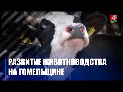 В 2023-2024 годах на Гомельщине сдано в эксплуатацию 11 молочных комплексов видео