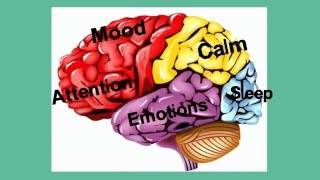 Video: What is Neurofeedback