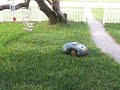 RoboMower Remote Controlled Lawnmower RoboMower Remote Controlled Lawnmower