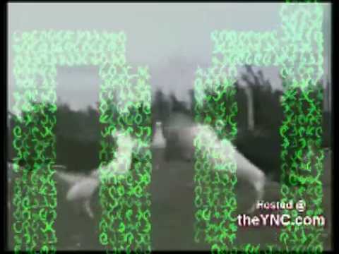 Louis Lingg and the Bombs - F*** You