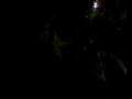 2008년 11월8일 서울역 상공의 ufo