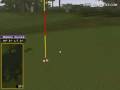 videos de Golden Tee Great Shot on Bayou Bay!