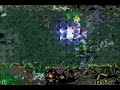 warcraft III frozen throne (dota)