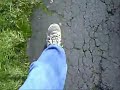 the way by frank foot