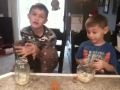 Reindeer food