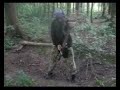 MGHT - Aggressive Skullcrusher [Official Video]