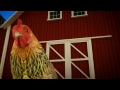 Hen house Productions