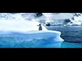 DAS TANZEN VOM PINGUIN / PINGUIN NIN EYLENCELI DANSI