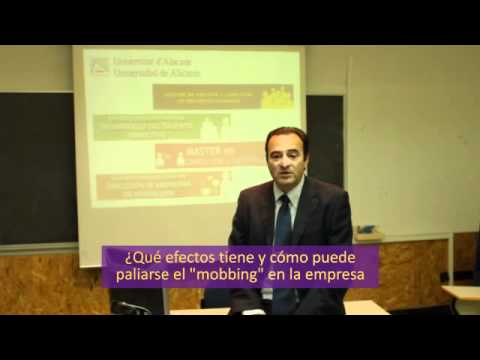 Imagen de previsualización de YouTube
