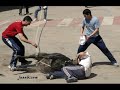 kaotiko   la venganza  antitaurino 