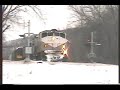 DL Alco Snowburst