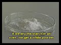 Plastics from Potatoes: Practical demonstration