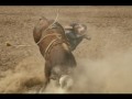 Galisteo Rodeo 2009
