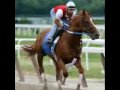 Curlin
