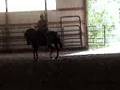 Clicker TRaining Trot