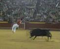 imagenes taurinas 2007