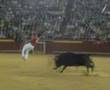 imagenes taurinas 2007