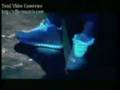 videos de Brooke Hogan ft Paul Wall - Abou