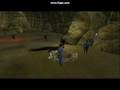 EQ2:COPS