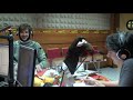 PAI - Programa Absolutamente Incrível com Nuno Markl e Diogo Beja