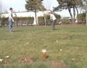 Lemon Golf or adding a lemon to your beer