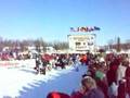 Robert Sorlie, Hurdal, Norway, Iditarod Musher #50