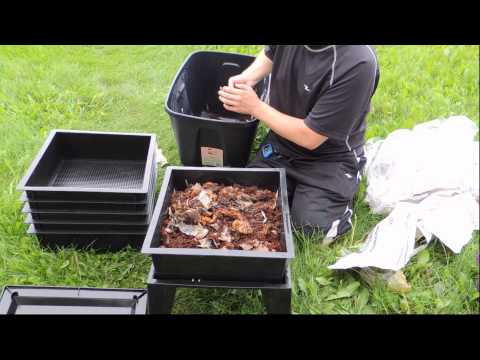 World's Easiest And Cheapest Way To Raise Composting Worms! You Will 