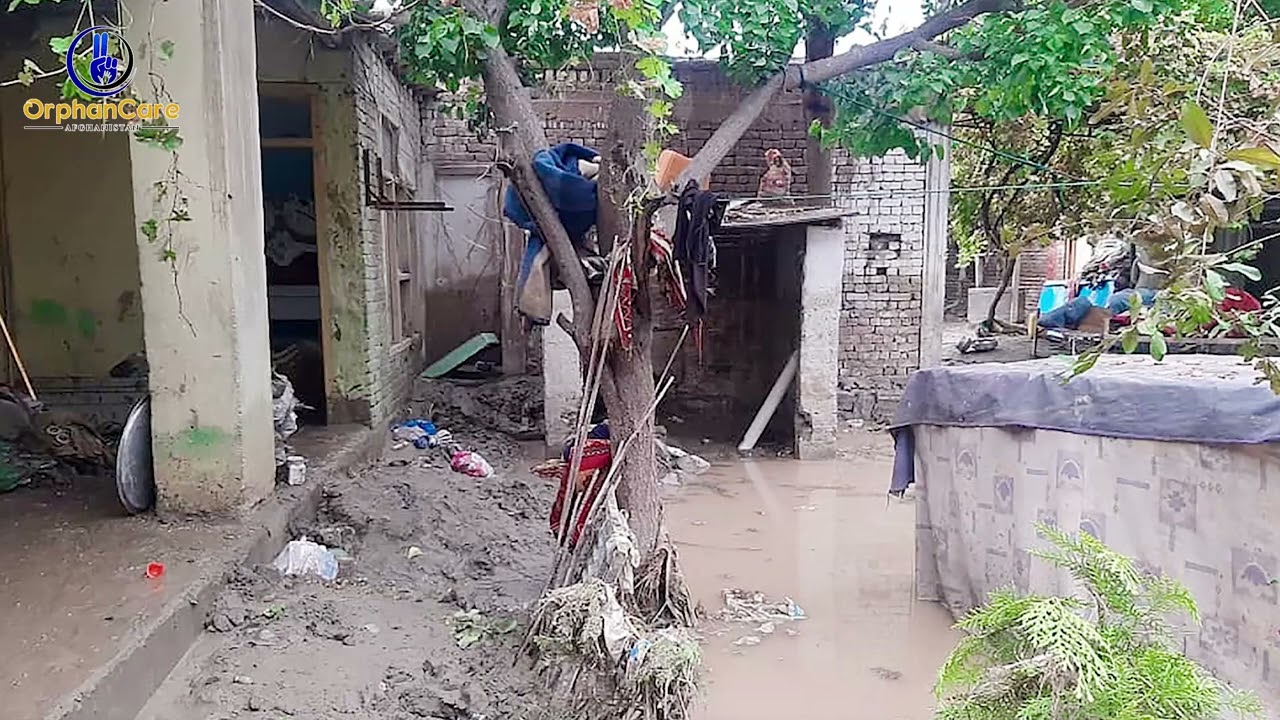 په ننګرهار ولایت کې د سیلاب زیانونه ۲۰۲۲