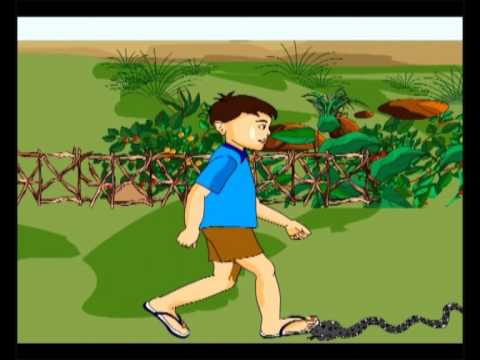 how to cure sunstroke