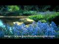 videos de Le jardin de la source bleue