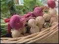 Bayou City Farmers Market Video