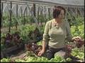 Bayou City Farmers Market Video