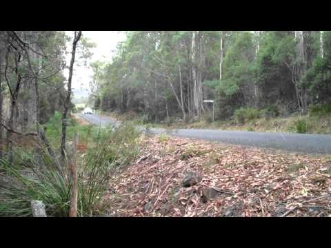 0 photo 0 targa tasmania 2011 australia photo image